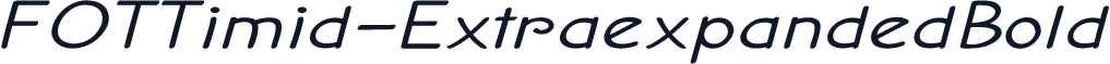 FOTTimid-ExtraexpandedBold