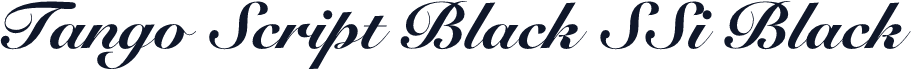 Tango Script Black SSi Black