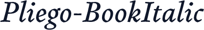 Pliego-BookItalic