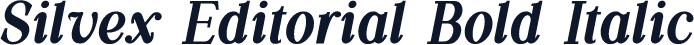 Silvex Editorial Bold Italic