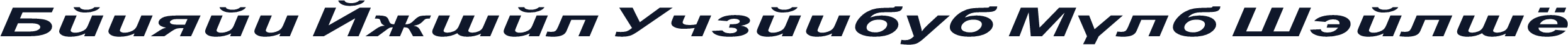 Danzan Arial Expanded Bold Italic