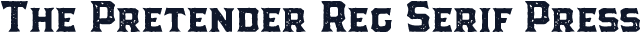 The Pretender Reg Serif Press