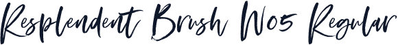 Resplendent Brush W05 Regular