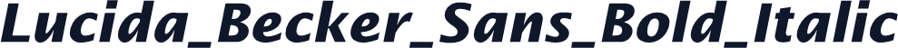 Lucida_Becker_Sans_Bold_Italic