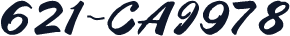 621-CAI978