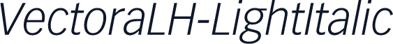 VectoraLH-LightItalic