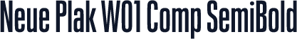 Neue Plak W01 Comp SemiBold