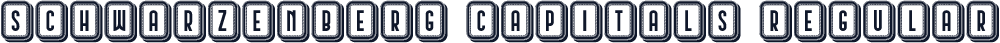 Schwarzenberg Capitals Regular