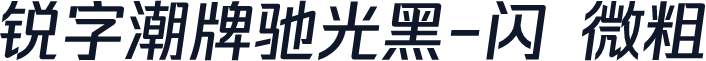 锐字潮牌驰光黑-闪 微粗