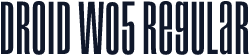 Droid W05 Regular