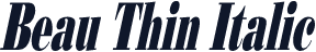 Beau Thin Italic