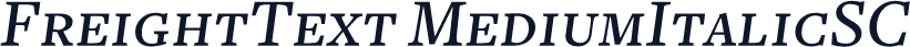FreightText MediumItalicSC