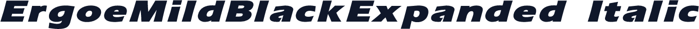 ErgoeMildBlackExpanded Italic