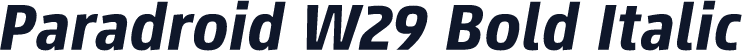 Paradroid W29 Bold Italic