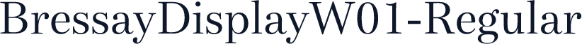 BressayDisplayW01-Regular