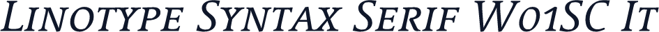 Linotype Syntax Serif W01SC It