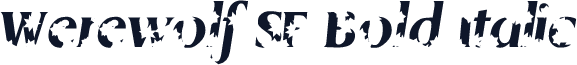 Werewolf SF Bold Italic