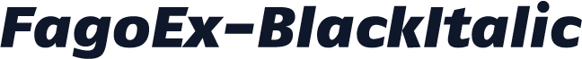 FagoEx-BlackItalic