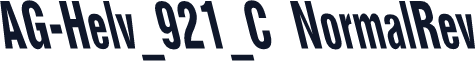 AG-Helv_921_C NormalRev