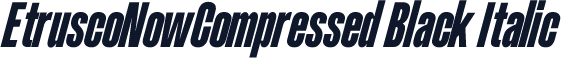 EtruscoNowCompressed Black Italic