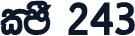 CPS 243