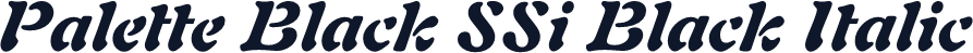 Palette Black SSi Black Italic