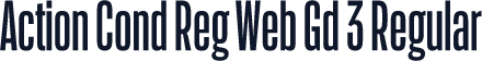 Action Cond Reg Web Gd 3 Regular