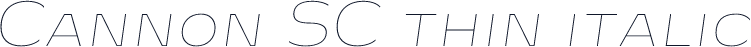 Cannon SC thin italic