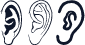 Ear