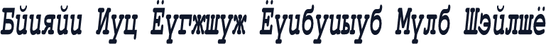 Danzan New Courier Condensed Bold Italic