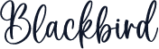 Blackbird