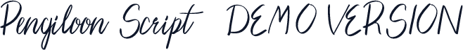 Pengiloon Script (DEMO VERSION)