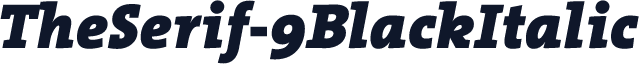 TheSerif-9BlackItalic