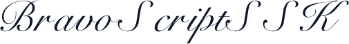 BravoScriptSSK