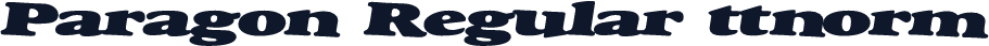 Paragon Regular ttnorm