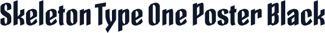 Skeleton Type One Poster Black