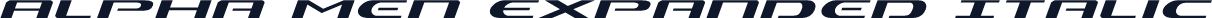 Alpha Men Expanded Italic