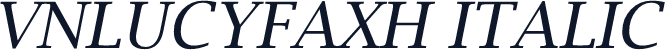 VNLucyFaxH Italic