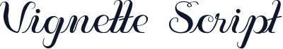 Vignette Script