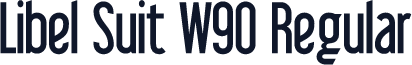 Libel Suit W90 Regular