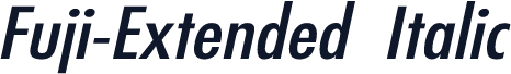Fuji-Extended Italic