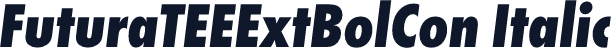FuturaTEEExtBolCon Italic
