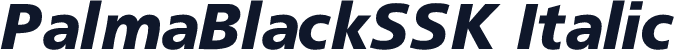 PalmaBlackSSK Italic
