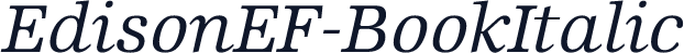EdisonEF-BookItalic