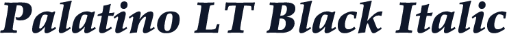 Palatino LT Black Italic