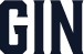 Gin