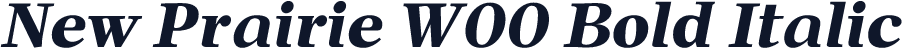 New Prairie W00 Bold Italic