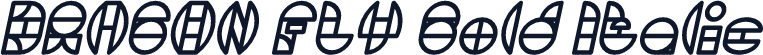 DRAGON FLY Bold Italic