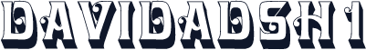 DavidaDSh1
