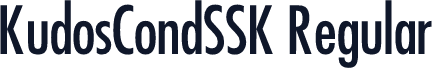 KudosCondSSK Regular